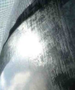 Horsefly on ball of H-Trap Looking Up