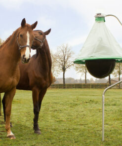 Horsefly Trap