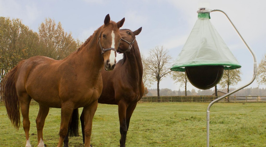 Horsefly Trap