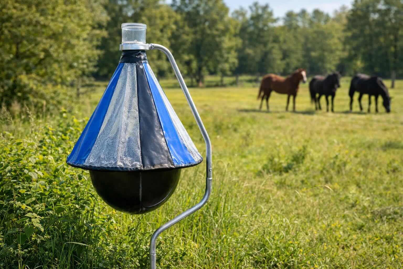 Horsefly trap in the meadow H Trap