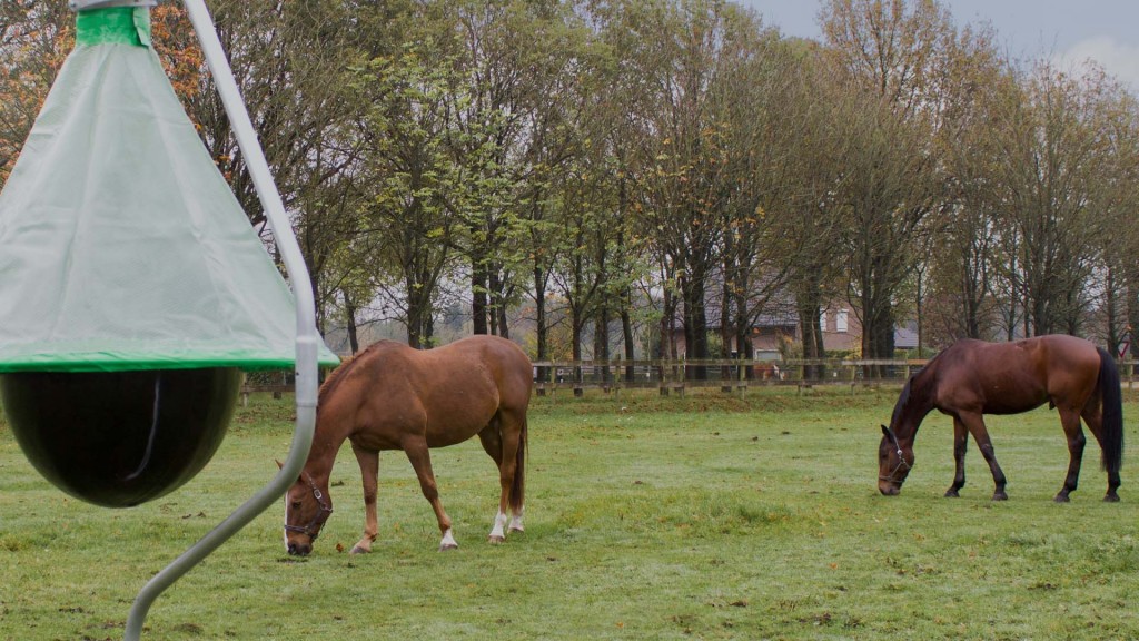 Horsefly Trap