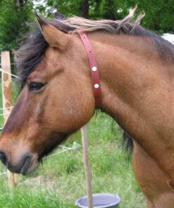 Fly Repellent Horse Collar on Horse